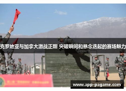 克罗地亚与加拿大激战正酣 突破瞬间和悬念迭起的赛场魅力 克罗地亚与加拿大激战正酣 突破瞬间和悬念迭起的赛场魅力