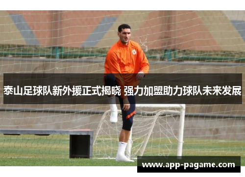 泰山足球队新外援正式揭晓 强力加盟助力球队未来发展