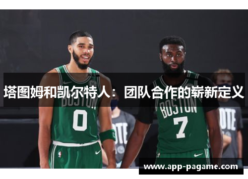 塔图姆和凯尔特人：团队合作的崭新定义