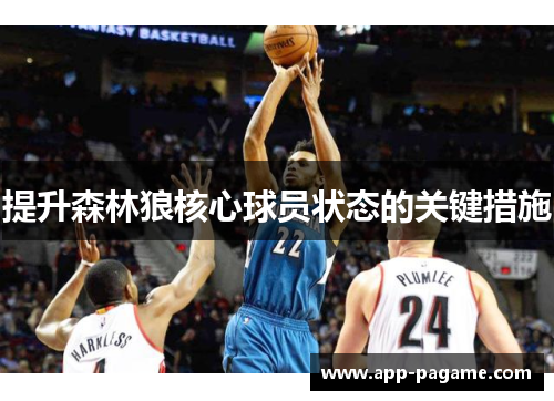 提升森林狼核心球员状态的关键措施
