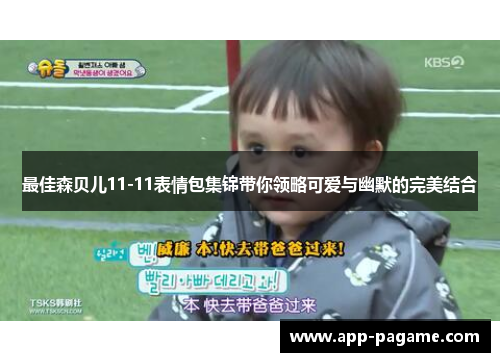 最佳森贝儿11-11表情包集锦带你领略可爱与幽默的完美结合