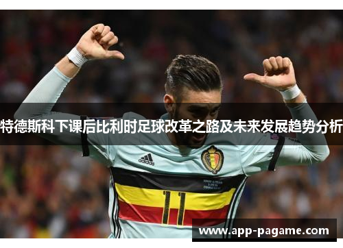 特德斯科下课后比利时足球改革之路及未来发展趋势分析