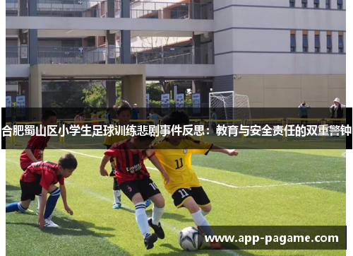 合肥蜀山区小学生足球训练悲剧事件反思:教育与安全责任的双重警钟 合肥蜀山区小学生足球训练悲剧事件反思:教育与安全责任的双重警钟