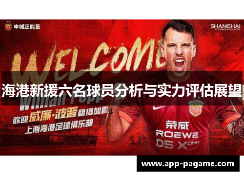 海港新援六名球员分析与实力评估展望