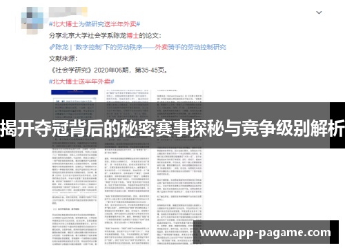揭开夺冠背后的秘密赛事探秘与竞争级别解析 揭开夺冠背后的秘密赛事探秘与竞争级别解析