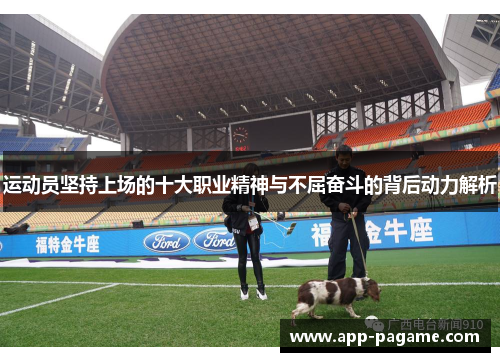 运动员坚持上场的十大职业精神与不屈奋斗的背后动力解析