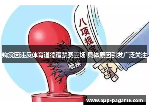 魏震因违反体育道德遭禁赛三场 具体原因引发广泛关注 魏震因违反体育道德遭禁赛三场 具体原因引发广泛关注
