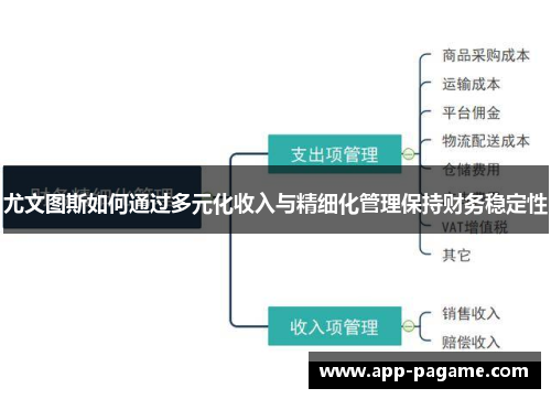 尤文图斯如何通过多元化收入与精细化管理保持财务稳定性 尤文图斯如何通过多元化收入与精细化管理保持财务稳定性