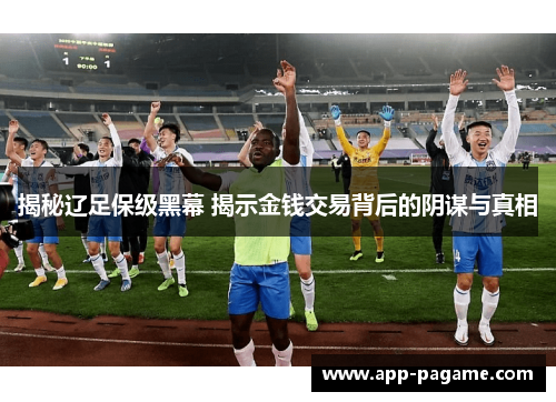揭秘辽足保级黑幕 揭示金钱交易背后的阴谋与真相