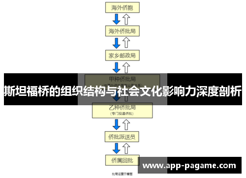 斯坦福桥的组织结构与社会文化影响力深度剖析