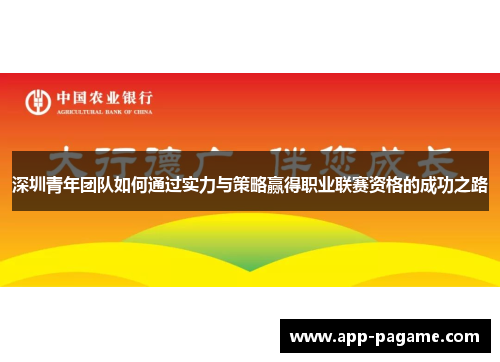 深圳青年团队如何通过实力与策略赢得职业联赛资格的成功之路
