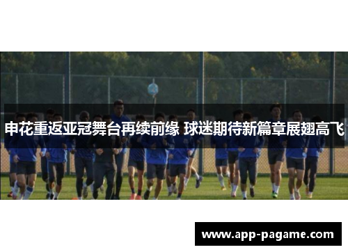 申花重返亚冠舞台再续前缘 球迷期待新篇章展翅高飞