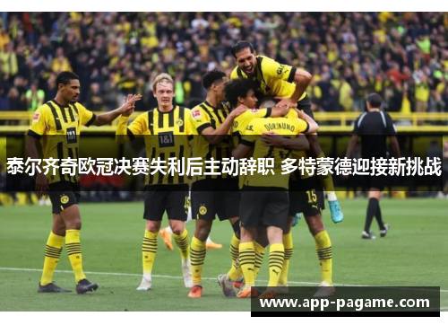 泰尔齐奇欧冠决赛失利后主动辞职 多特蒙德迎接新挑战 泰尔齐奇欧冠决赛失利后主动辞职 多特蒙德迎接新挑战